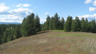 1302 W Wild Rose Rd, Colbert, WA 99005 - photo 5