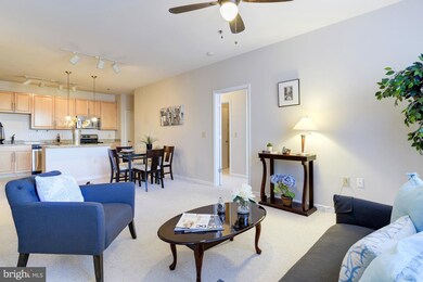 Silverton Condominiums, Silver Spring, MD 20910 - photo 5