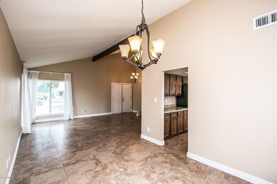 Saguaro Cir-8