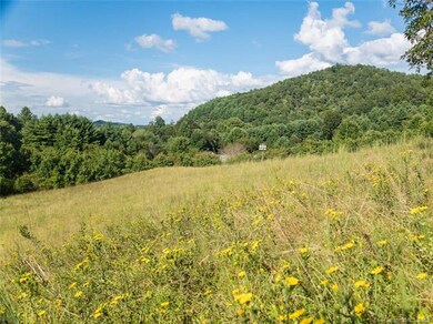 gently sloping field great for gardening, horses, 