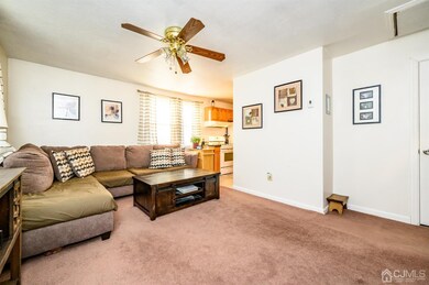 29 Putnam St, Somerville, NJ 08876 - photo 5