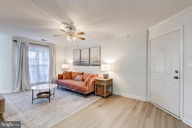 3840 Normandy Dr unit 3B, Hampstead, MD 21074 - photo 4