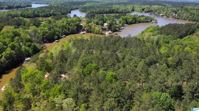 0 Lake Geneva Dr unit 25 21415570, Wedowee, AL 36278 - photo 2
