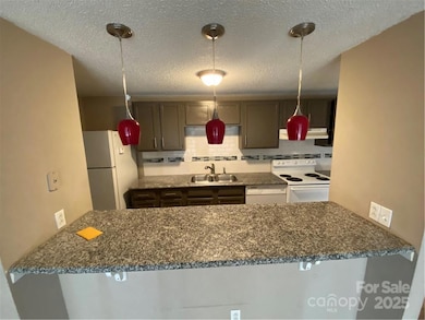 9325 Old Concord Rd unit F, Charlotte, NC 28213 - photo 4