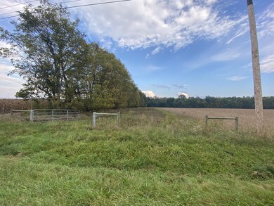 VL California Rd, Dowagiac, MI 49047 - photo 3