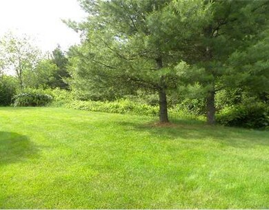 Yard/Garden.