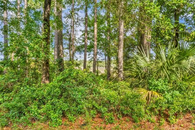 Lot 11 marshfront, w marsh just beyond trees.