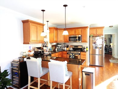 17 Robbins St unit 1-1, Waltham, MA 02453 - photo 2