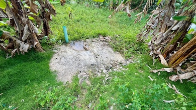 117 unit Solar 117, Yauco, PR 00698 - photo 5