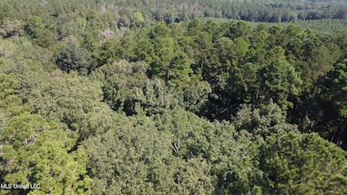 997 Morgantown Rd, Foxworth, MS 39483 - photo 5