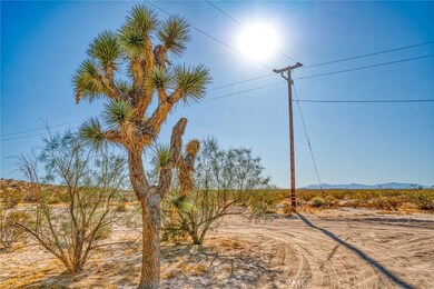 63140 Pole Rd, Joshua Tree, CA 92252 - photo 4