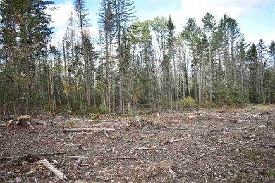 38 Buffalo Rd, Lancaster, NH 03584 - photo 6