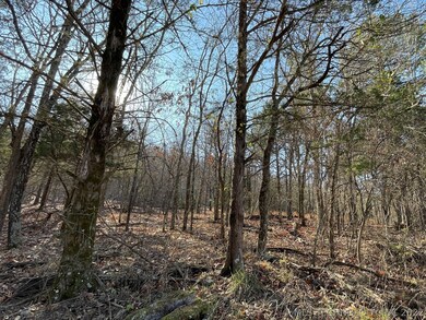 327 Bailey Blvd, Tahlequah, OK 74464 - photo 3