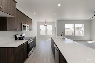 Kitchen featuring stainless steel appliances, light wood finished floors, dark brown cabinetry, modern cabinets, and recessed lighting