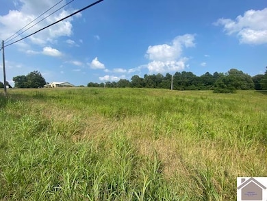 8.4 Acres on Us Hwy 641, Benton, KY 42025 - photo 2