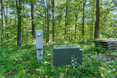 11808 Devils Den Rd, Winslow, AR 72959 - photo 6