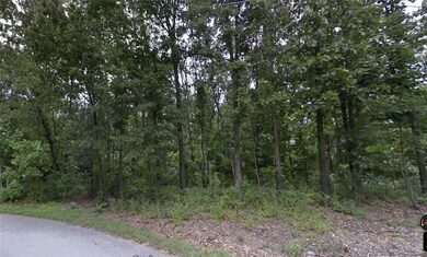 14 Cashin Ln, Bella Vista, AR 72715 - photo 2