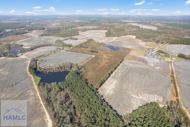 Lot 4 Camp Ground Rd, Claxton, GA 30417 - photo 3