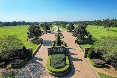 2052 Stallion Lakes Ave, Hockley, TX 77447 - photo 4