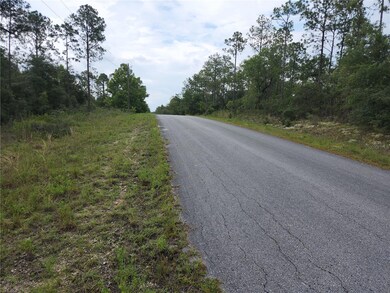 Lot 20 SW North Lake Blvd, Dunnellon, FL 34431 - photo 3