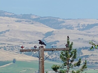photo0