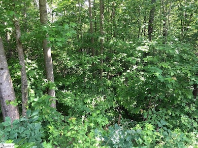 120 Ridgerunner Way, Travelers Rest, SC 29690 - photo 3