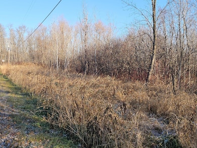 TBD Whistle Rd, Isle, MN 56342 - photo 6
