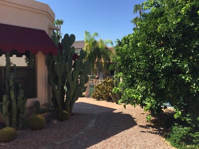 Yard