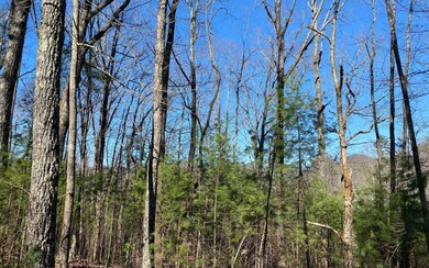 Additional View