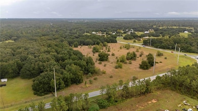 Lot 1 County Road 455, Clermont, FL 34711 - photo 3