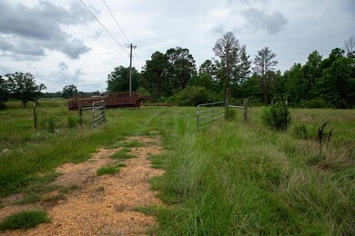 0 Sam Durr Rd, Prentiss, MS 39474 - photo 4