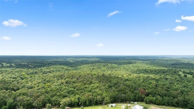 Tract 1 Styles Rd, Noel, MO 64854 - photo 7