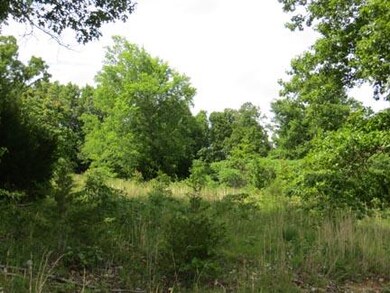 6369 view of acreage