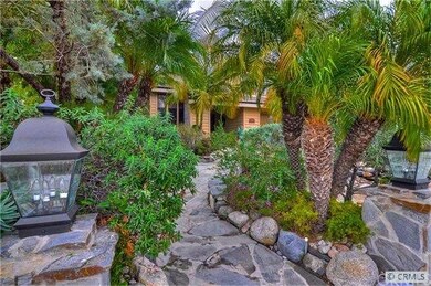 Mature Tropical landscaping leading to front door