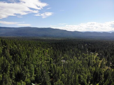 12540 Red Owl Trail N, Bigfork, MT 59911 - photo 3