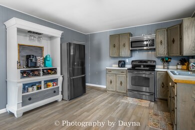 410 E Main St, Ashkum, IL 60911 - photo 6