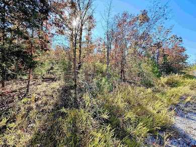 010-01589-000 Canmore Dr, Briarcliff, AR 72653 - photo 4