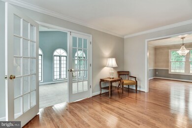 14724 Carona Dr, Silver Spring, MD 20905 - photo 6