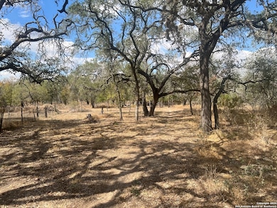 1050 Hickory Ln, San Antonio, TX 78264 - photo 5