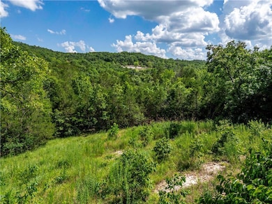 View of mountain backdrop with a forest