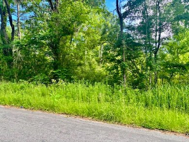 8946 Anderson Rd, Adams Run, SC 29426 - photo 6