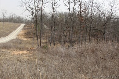 Looking from the entrace of the subdivision up the