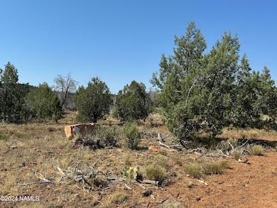 024 Parcel 205-20-024 Pineveta Rd, Ash Fork, AZ 86320 - photo 5
