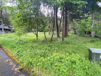 352 Tree Top Ln, Willow Creek, CA 95573 - photo 7