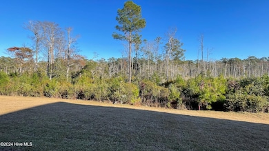 lot 74 Rear Yard
