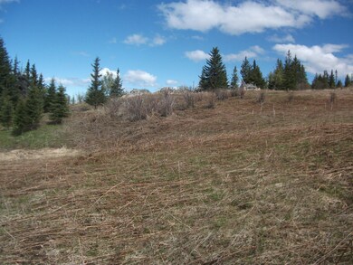 Hayfield