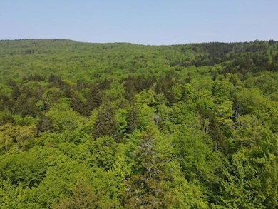 dji_fly_20250605_100654_488_174913246001