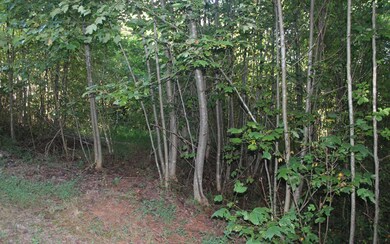 Additional View