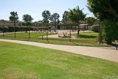 Manicured Greenbelt Areas Throughout Complex and Surrounding Pool