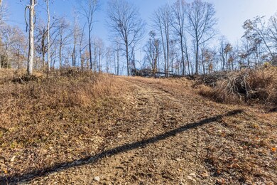 1548 Rabe Coats Rd, Westmoreland, TN 37186 - photo 5